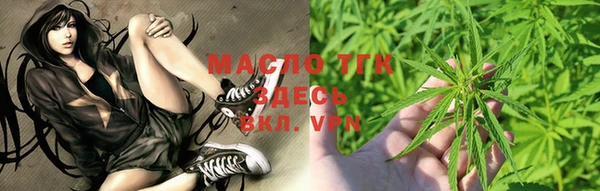 МДПВ Пересвет