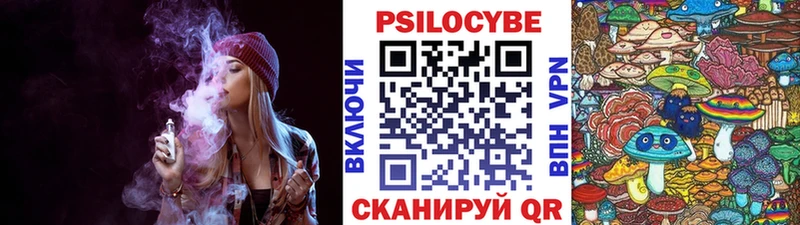 Галлюциногенные грибы мицелий Купить закладки Краснозаводск